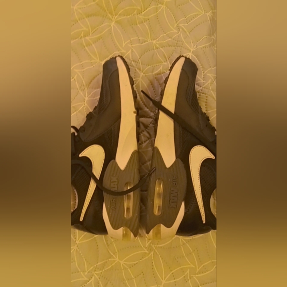 Nike Air Max
